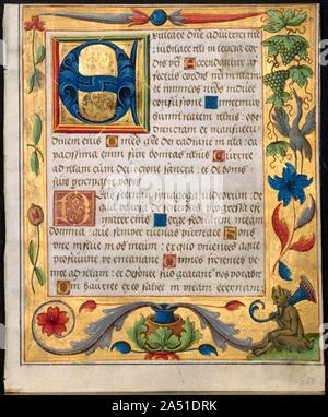 Foglie da un salterio e Prayerbook: INIZIALE E con cornice ornamentale contenente un satiro seduto e un uccello di mangiare uva (recto) e cornice ornamentale con fiori e scoiattolo (verso) (2 di 3 foglie escisso), c. 1524. Questa foglia rappresentano l'incantevole decorazione intricati trovati in tutto il volume padre, le sue foglie ora dispersi. Virtualmente ogni confine recto e verso era decorata con oro liquido ed evidenziati con una varietà di fiori, frutta e verdura-Garofani, cardi, rose, viole, piselli, meloni-nonché cornucopie, satiri, maschere, insetti, uccelli, ecc. La decorazione ho Foto Stock