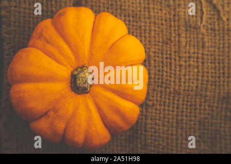 Il giallo zucca freschi sul sacco con spazio per inserire il testo Foto Stock