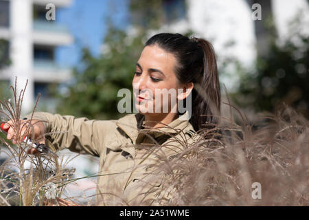 Giardiniere giovane donna il taglio di erba Foto Stock