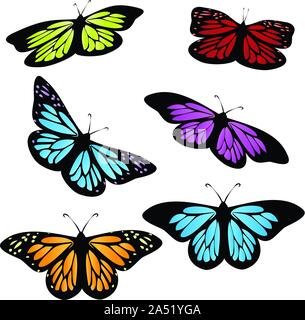 Illustrazione delle farfalle colorate isolato su bianco. Illustrazione Vettoriale
