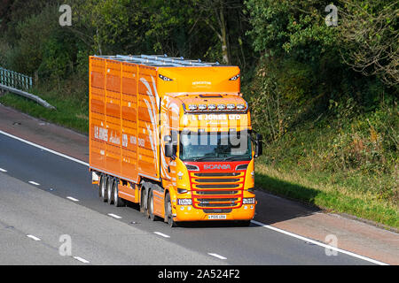 L.E.JONES gli autotrasportatori; autostrada pesante di merci alla rinfusa camion di consegna trasporti, autocarro, trasporto, carrello, speciali cargo, giallo arancione Scania R580 veicolo, consegna, industria dei trasporti merci su M6 a Lancaster, Foto Stock