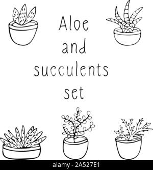 In bianco e nero insieme di piante succulente e scarlatto del disegno a mano, illustrazione su sfondo bianco, schizzo Illustrazione Vettoriale