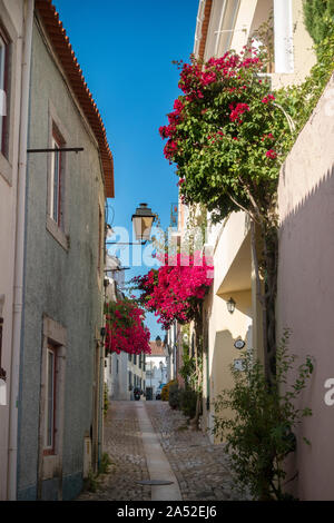 Piccola strada residenziale di Cascais Portogallo con le case piccole e colorate buganvillee boccole degli alberi. Foto Stock