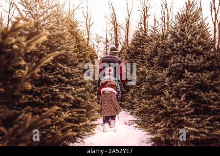 I bambini alla ricerca del perfetto albero di Natale con i loro papà Foto Stock