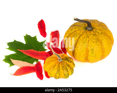 Due zucche e foglie di autunno Foto Stock