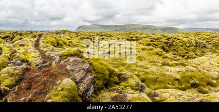 Islandese di campi di lava ricoperti di muschio, panorama a Sud dell'Islanda Foto Stock