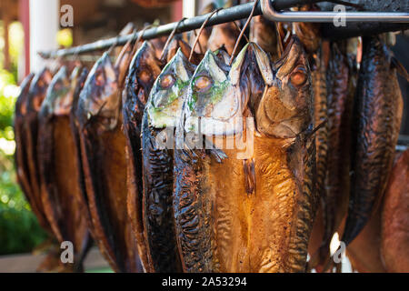 Freddo secco sgombro affumicato pesce fresco, vicino fino Foto Stock