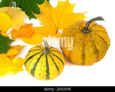 Due zucche e foglie di autunno Foto Stock