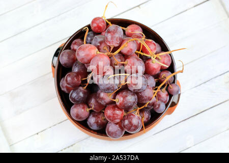 Mature uve rosse isolato su sfondo bianco. Vista da sopra Foto Stock