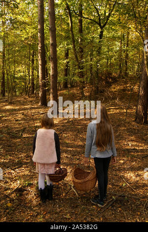 Due con i capelli lunghi ragazze con ceste raccogliere i funghi nella foresta di autunno Foto Stock