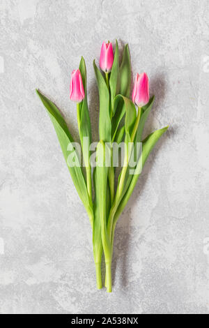 Un semplice bouquet di tulipani con tre fiori di colore rosa su sfondo grigio, visto da sopra. Foto Stock