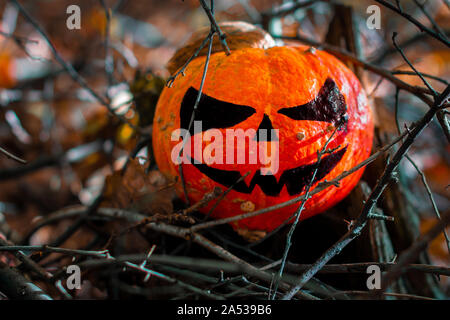 Zucca di Halloween nella foresta. Scary pumpkin decorazioni con creepy toothy smile a sfondo legno Foto Stock