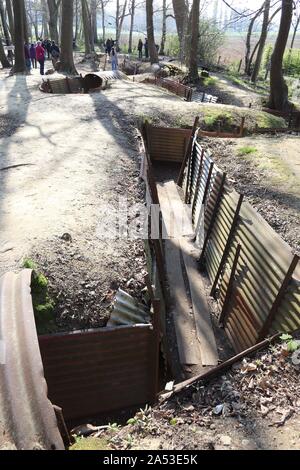 Trincee al Sanctuary Wood First Worls War Museum a Hill 62 vicino a Ypres / Ieper Fiandre Foto Stock