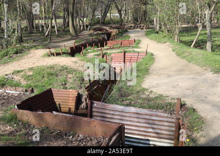 Trincee al Sanctuary Wood First Worls War Museum a Hill 62 vicino a Ypres / Ieper Fiandre Foto Stock