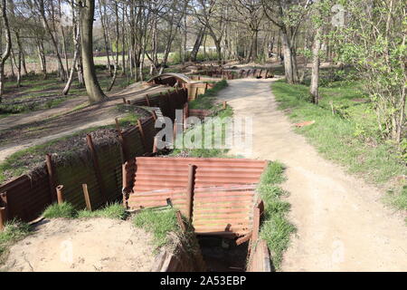 Trincee al Sanctuary Wood First Worls War Museum a Hill 62 vicino a Ypres / Ieper Fiandre Foto Stock