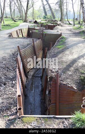 Trincee al Sanctuary Wood First Worls War Museum a Hill 62 vicino a Ypres / Ieper Fiandre Foto Stock