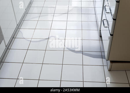 Close-up Foto di allagamento del pavimento in cucina dalla perdita d'acqua nella lavastoviglie rotto Foto Stock