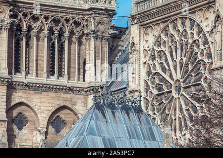 Dettagli del West rosone di Notre Dame de Paris Foto Stock