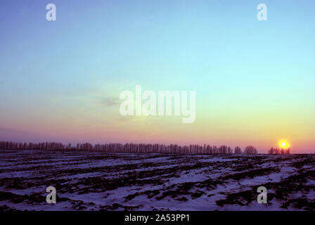 Campo Arato ricoperta di neve, bright golden-rosa tramonto dietro gli alberi di pioppo linea senza foglie sulle colline sull orizzonte, paesaggio invernale Foto Stock