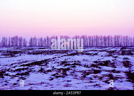 Campo Arato ricoperta di neve, bright golden-rosa tramonto dietro gli alberi di pioppo linea senza foglie sulle colline sull orizzonte, paesaggio invernale Foto Stock