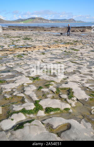 Spiaggia rocciosa vicino a Charmouth, Dorset su Jurassic Coast durante la bassa marea Foto Stock