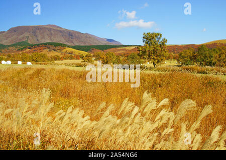 Altopiano Senomoto in autunno, Prefettura di Kumamoto, Giappone Foto Stock