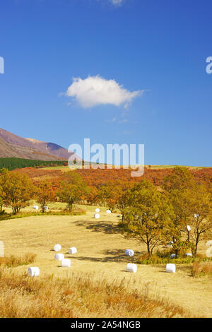 Altopiano Senomoto in autunno, Prefettura di Kumamoto, Giappone Foto Stock