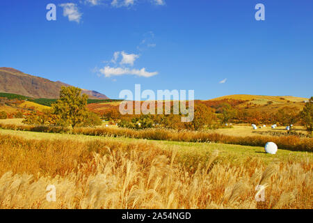 Altopiano Senomoto in autunno, Prefettura di Kumamoto, Giappone Foto Stock