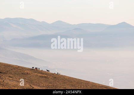 Alcuni cavalli sagome sulla sommità del Monte Subasio, sopra un mare di nebbia il riempimento della valle Umbra Foto Stock