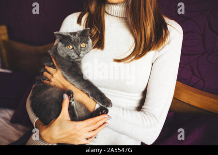 Bella ragazza giovane trattiene un soffice gatto grigio vicino al suo volto, home comfort e tranquillità e buon umore. Amore per gli animali Foto Stock