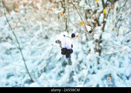 Ligustrum vulgare (wild ligustro, ligustro comune europeo, Ligustro) NERO bacche mature sul ramo coperti di neve, soft sfocato Sfondo Inverno Foto Stock