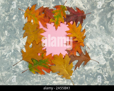 Appartamento laici composizione d'autunno. Cornice quadrata fatta di foglie di autunno pastello su uno sfondo grigio, vista dall'alto con spazio di copia Foto Stock