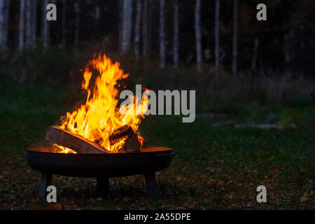 Falò in un firebowl, serata autunnale, bosco di betulle, in background Foto Stock