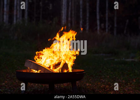 Falò in un firebowl, serata autunnale, bosco di betulle, in background Foto Stock