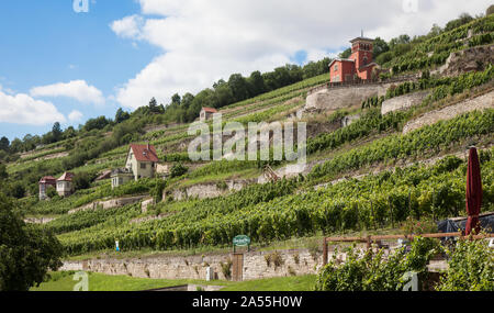 Unstrut Freyburg Weinberghäuser. Bauzeit 18-20 Jh. Weinlage Schweigenberg. Foto Stock