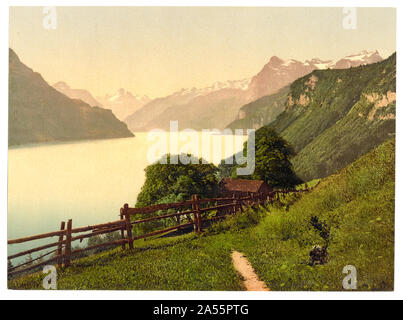 Urnersee, vista generale, il Lago di Lucerna, Svizzera Foto Stock