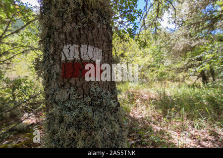 Il bianco e il rosso segno di una lunga distanza percorso (GR 99) su un tronco accanto al fiume Ebro nella provincia di Burgos (Spagna). Sport concept Foto Stock
