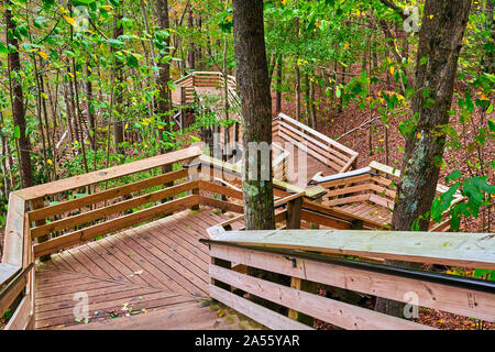 Scale di legno in una foresta boscosa. Foto Stock