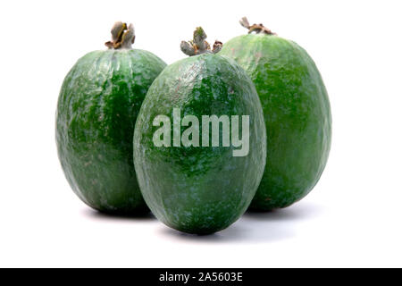 Feijoa su sfondo bianco Foto Stock