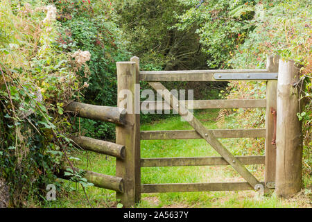 Cancello in legno che conduce attraverso un sentiero di bosco. Dorset, Regno Unito Foto Stock