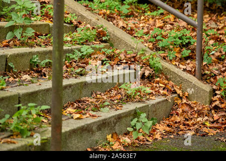 Pubblico scala con ringhiera in acciaio in autunno coperto con caduto foglie di autunno e di piante che crescono fuori delle scale. Visto in Germania nel mese di ottobre. Foto Stock