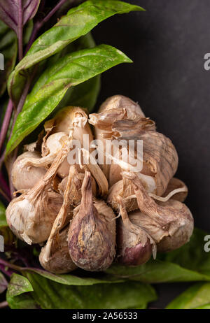 Vista ravvicinata di homegrown aglio circondato da viola aglio Foto Stock