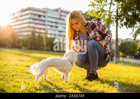 Donna scolding il suo cane Maltese mentre essi trascorrere del tempo nel parco. Foto Stock