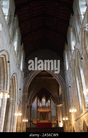 Hexham Abbey soffitto e organo, Hexham, Regno Unito Foto Stock