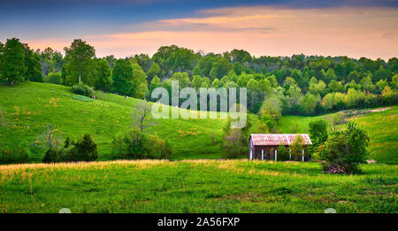 Fienile con le mucche al pascolo su una collina. Foto Stock