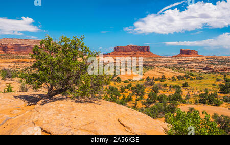 Monitor e Merrimack Buttes, UT. Foto Stock