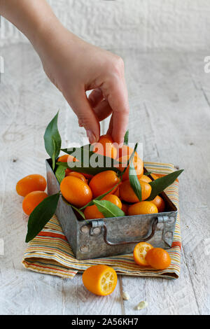 Kumquat frutti su sfondo grigio close up Foto Stock