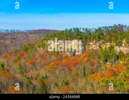 Caduta al Red River Gorge, KY. Foto Stock