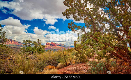 Red Rock Landscape di Sedona, in Arizona. Foto Stock