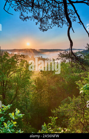 Sunrise a Red River Gorge, KY. Foto Stock